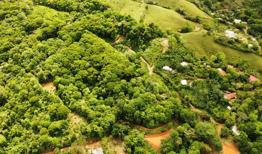 San Salvador de Baru, Puntarenas, 11909, ,Land,For Sale,San Salvador de Baru,1119