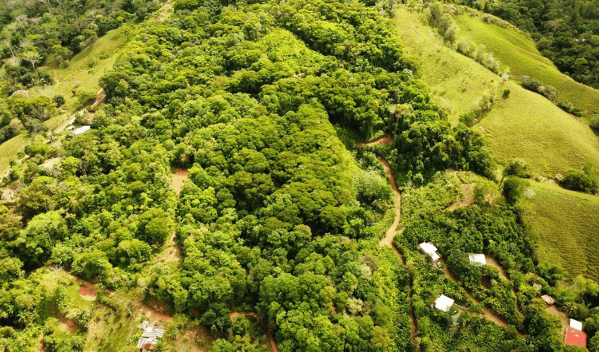 San Salvador de Baru, Puntarenas, 11909, ,Land,For Sale,San Salvador de Baru,1119