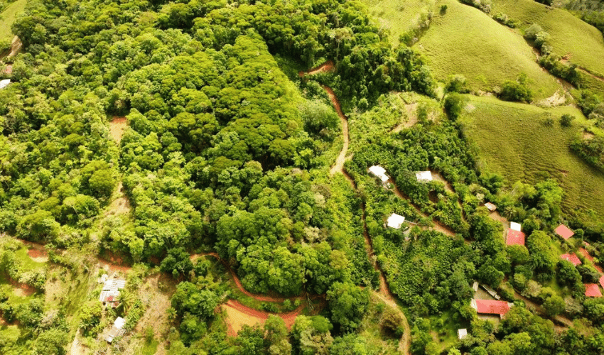 San Salvador de Baru, Puntarenas, 11909, ,Land,For Sale,San Salvador de Baru,1119