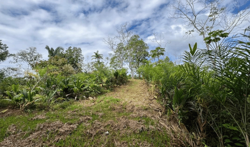 San Salvador de Baru, Puntarenas, 11909, ,Land,For Sale,San Salvador de Baru,1119