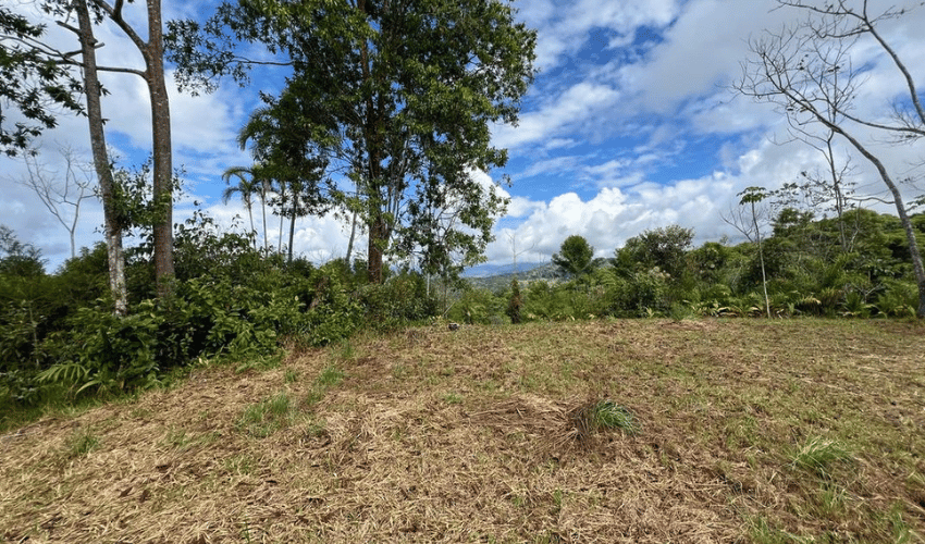 San Salvador de Baru, Puntarenas, 11909, ,Land,For Sale,San Salvador de Baru,1119