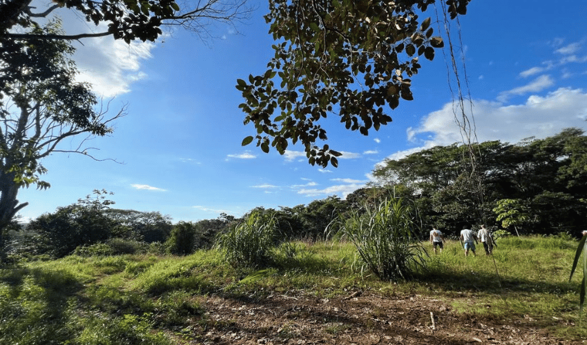 Hatillo, Quepos, 60602, ,Land,For Sale,Hatillo,1126