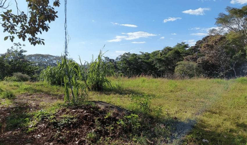 Hatillo, Quepos, 60602, ,Land,For Sale,Hatillo,1126