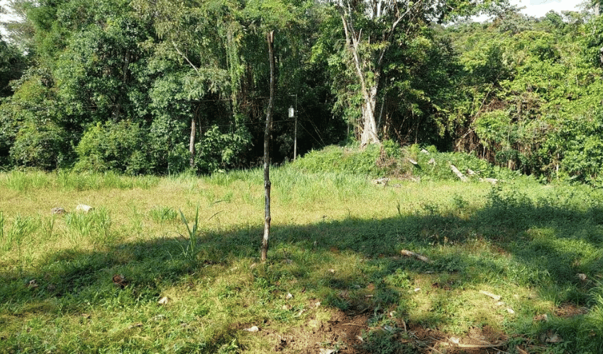 Hatillo, Quepos, 60602, ,Land,For Sale,Hatillo,1126