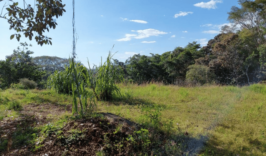 Hatillo, Quepos, 60602, ,Land,For Sale,Hatillo,1126