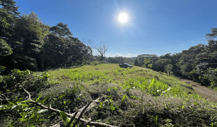 Hatillo, Quepos, 60602, ,Land,For Sale,Hatillo,1126