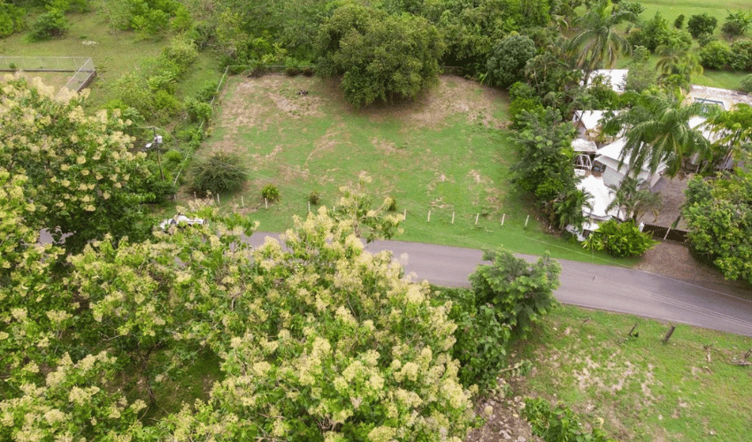 Matapalo, Quepos, 60602, ,Land,For Sale,Matapalo,1128