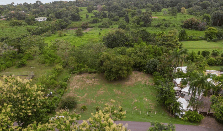 Matapalo, Quepos, 60602, ,Land,For Sale,Matapalo,1128