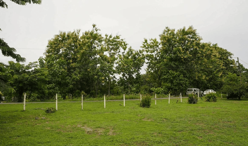 Matapalo, Quepos, 60602, ,Land,For Sale,Matapalo,1128