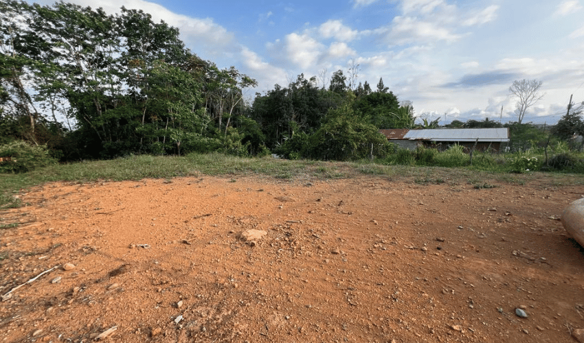 Santa Elena, Perez Zeledon, 11902, ,Land,For Sale,Santa Elena,1129