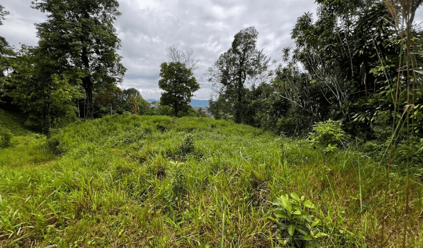 La Linda, Perez Zeledon, 11902, ,Land,For Sale,La Linda,1130