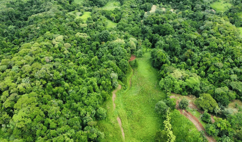 La Linda, Perez Zeledon, 11902, ,Land,For Sale,La Linda,1130