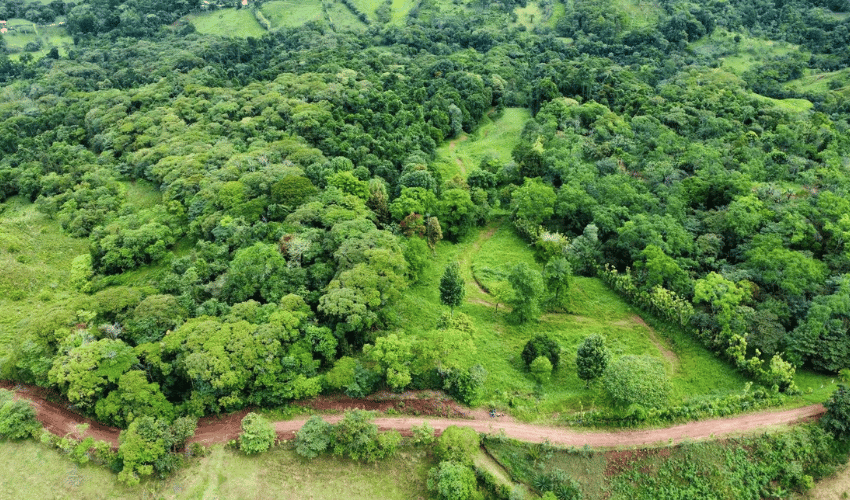 La Linda, Perez Zeledon, 11902, ,Land,For Sale,La Linda,1130