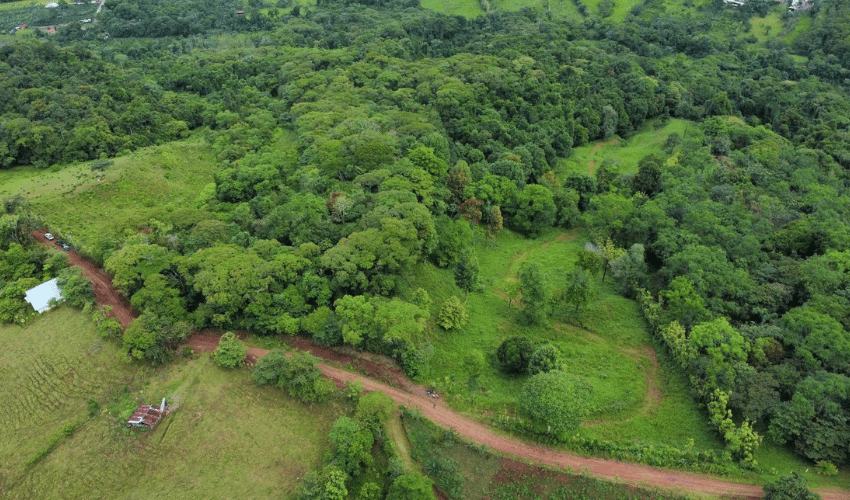 La Linda, Perez Zeledon, 11902, ,Land,For Sale,La Linda,1130