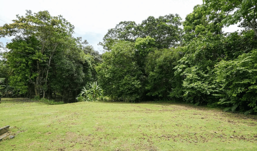 Hatillo, Quepos, 60602, ,Land,For Sale,Hatillo,1133