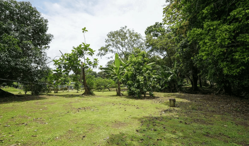 Hatillo, Quepos, 60602, ,Land,For Sale,Hatillo,1133