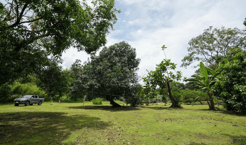 Hatillo, Quepos, 60602, ,Land,For Sale,Hatillo,1133