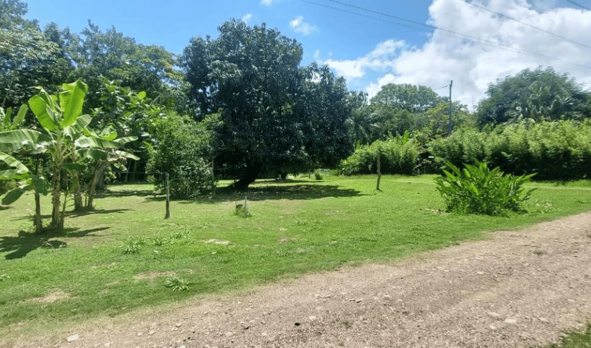 Hatillo, Quepos, 60602, ,Land,For Sale,Hatillo,1133