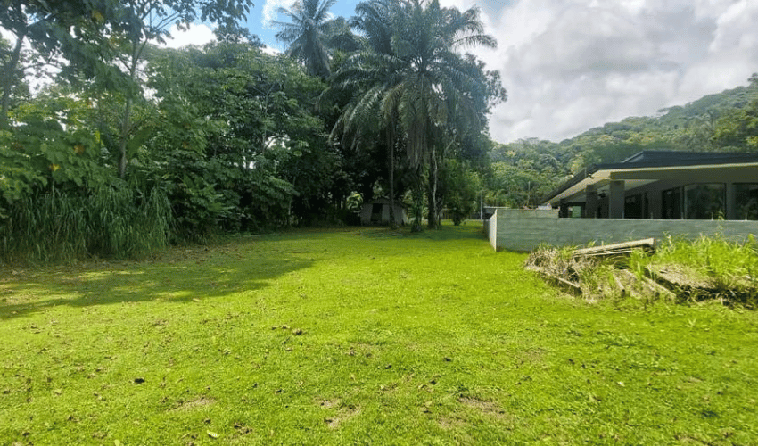 Hatillo, Quepos, 60602, ,Land,For Sale,Hatillo,1133