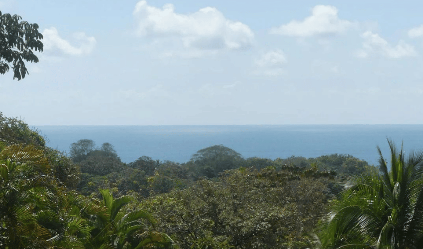 Uvita, Osa, 60504, ,Commercial,For Sale,Uvita,1134