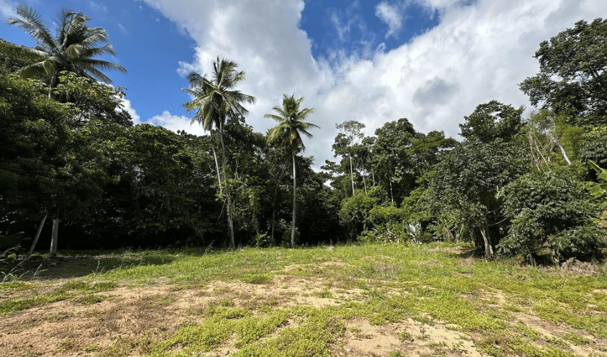 Uvita, Osa, 60504, ,Commercial,For Sale,Uvita,1134