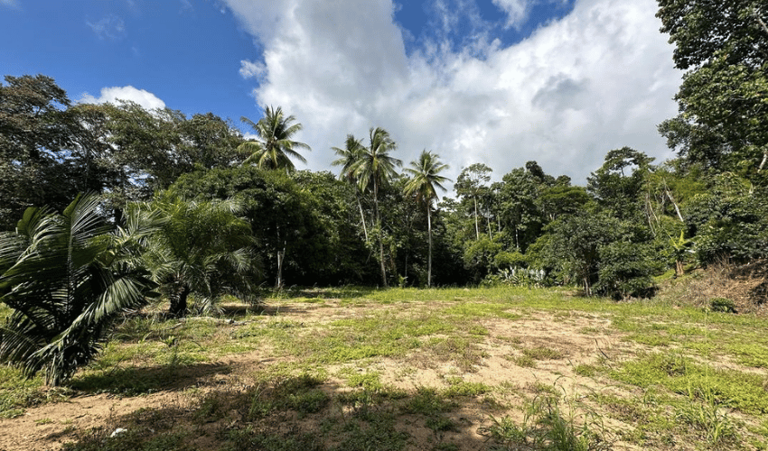 Uvita, Osa, 60504, ,Commercial,For Sale,Uvita,1134