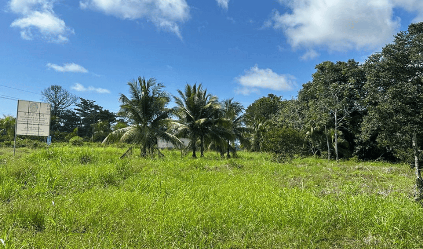 Uvita, Osa, 60504, ,Commercial,For Sale,Uvita,1134