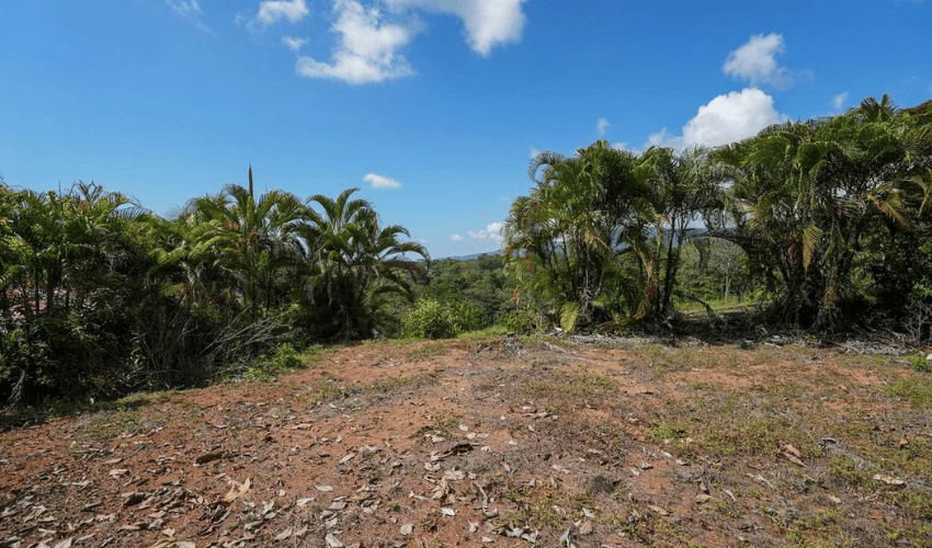 Uvita, Osa, 60504, ,Commercial,For Sale,Uvita,1134