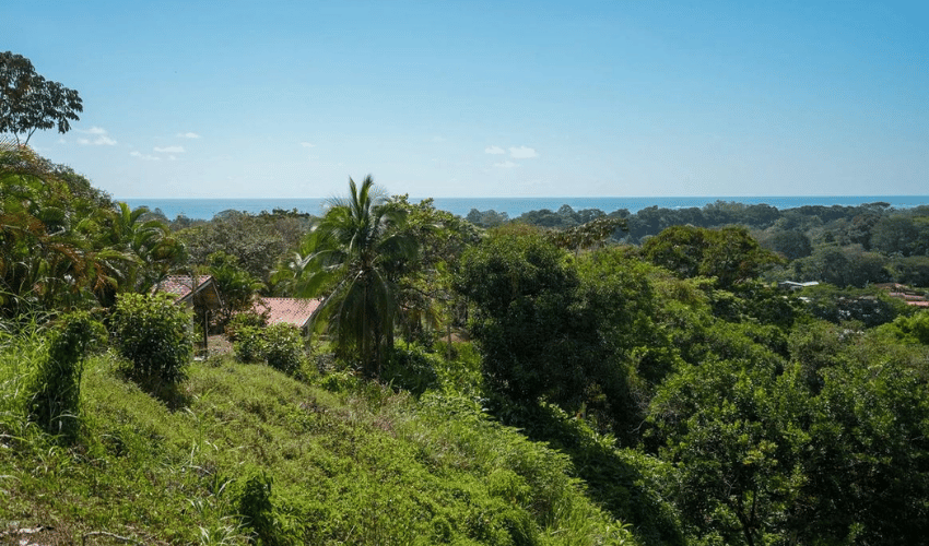 Uvita, Osa, 60504, ,Commercial,For Sale,Uvita,1134