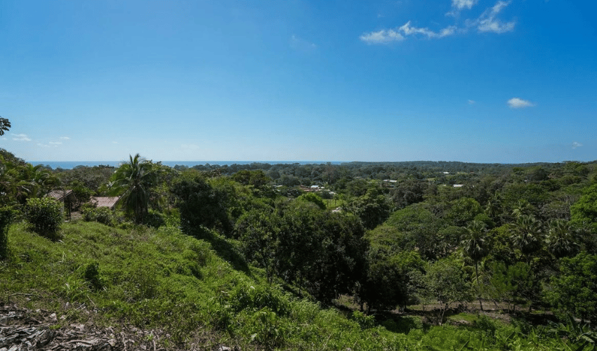 Uvita, Osa, 60504, ,Commercial,For Sale,Uvita,1134