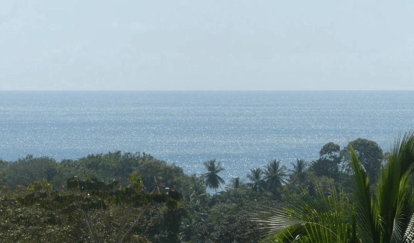 Uvita, Osa, 60504, ,Commercial,For Sale,Uvita,1134