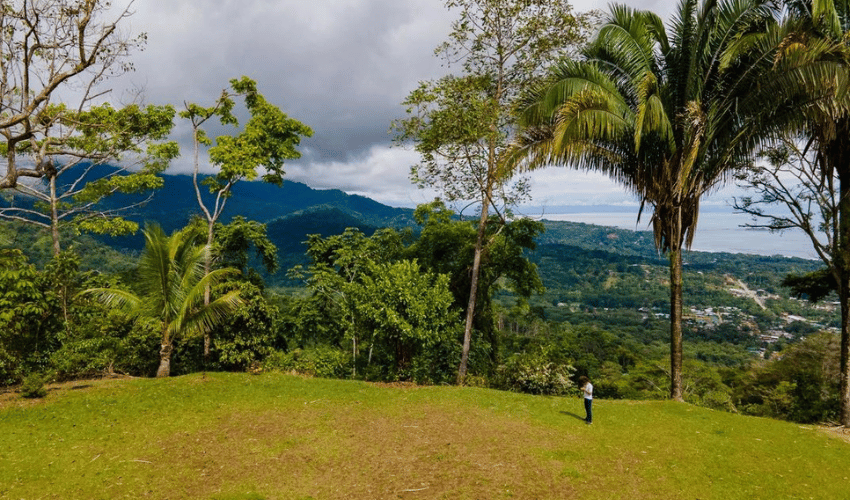 Uvita, Osa, 60504, ,Land,For Sale,Uvita,1136