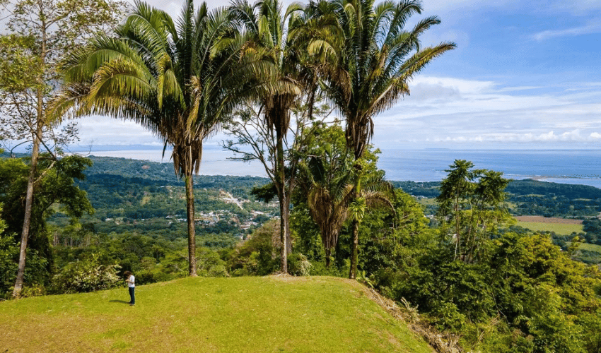 Uvita, Osa, 60504, ,Land,For Sale,Uvita,1136