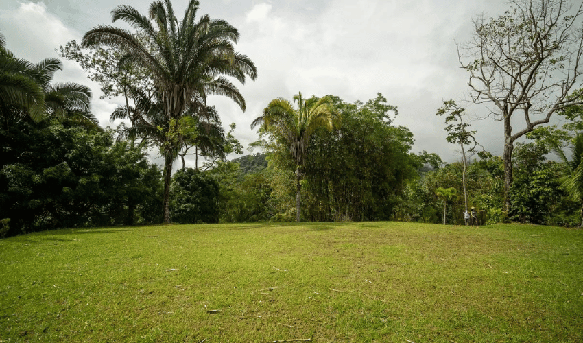 Uvita, Osa, 60504, ,Land,For Sale,Uvita,1136