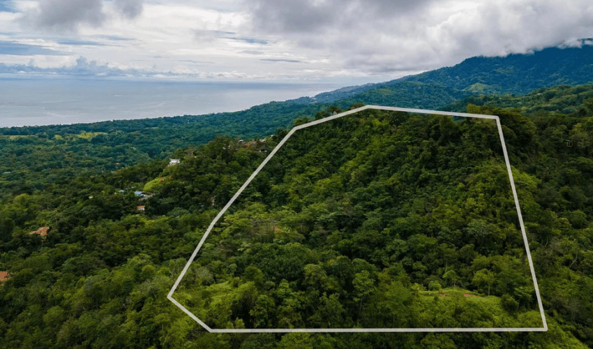 Uvita, Osa, 60504, ,Land,For Sale,Uvita,1136