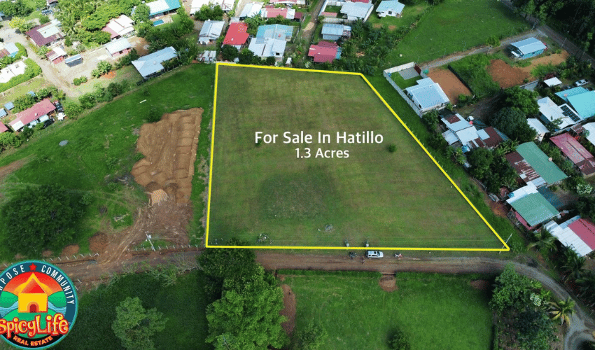 Hatillo, Quepos, 60602, ,Commercial,For Sale,Hatillo,1137