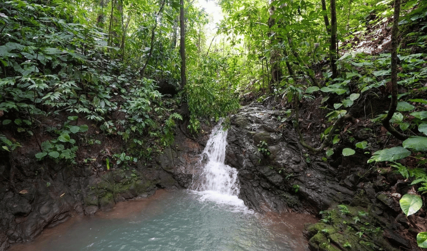 Portalón, Quepos, 60602, ,Land,For Sale,Portalón,1138