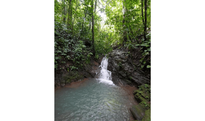 Portalón, Quepos, 60602, ,Land,For Sale,Portalón,1138