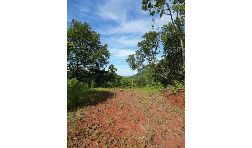 Portalón, Quepos, 60602, ,Land,For Sale,Portalón,1138