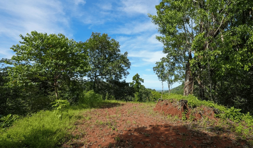 Portalón, Quepos, 60602, ,Land,For Sale,Portalón,1138