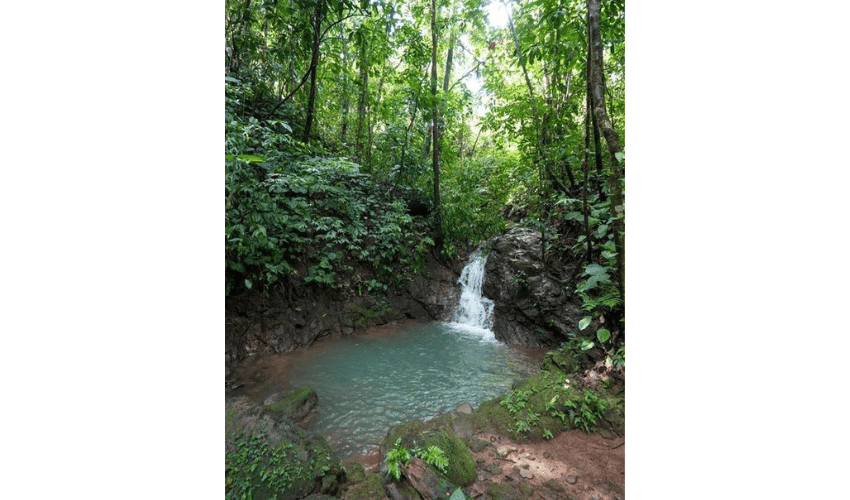 Portalón, Quepos, 60602, ,Land,For Sale,Portalón,1138