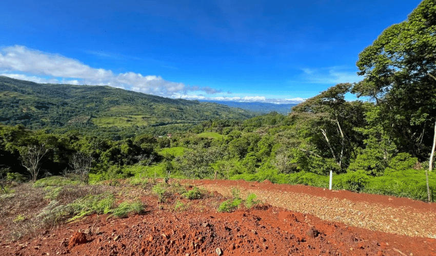 Rivas, Perez Zeledon, 11904, ,Land,For Sale,Rivas,1139