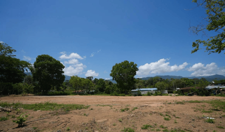 Bahia Ballena, Osa, 60504, ,Land,For Sale,Bahia Ballena,1140