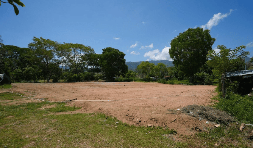 Bahia Ballena, Osa, 60504, ,Land,For Sale,Bahia Ballena,1140