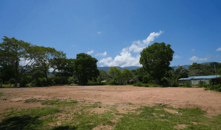 Bahia Ballena, Osa, 60504, ,Land,For Sale,Bahia Ballena,1140