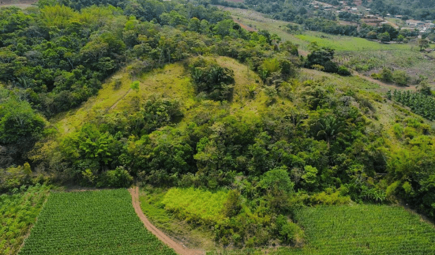 Pacuar, Perez Zeledon, 11909, ,Land,For Sale,Pacuar,1141