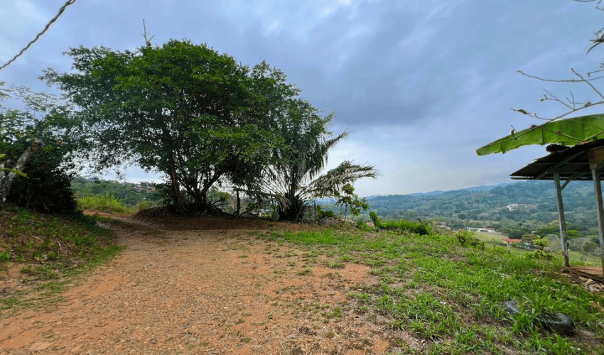 Pacuar, Perez Zeledon, 11909, ,Land,For Sale,Pacuar,1141