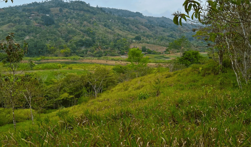 Pacuar, Perez Zeledon, 11909, ,Land,For Sale,Pacuar,1141