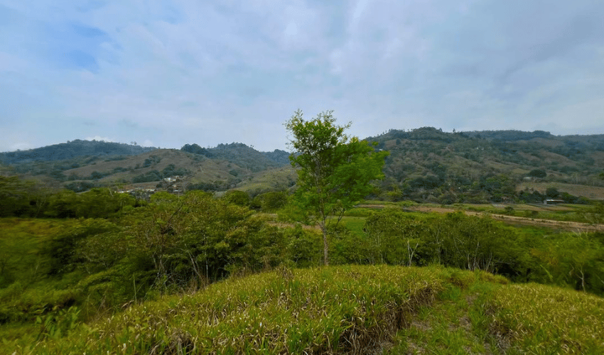 Pacuar, Perez Zeledon, 11909, ,Land,For Sale,Pacuar,1141