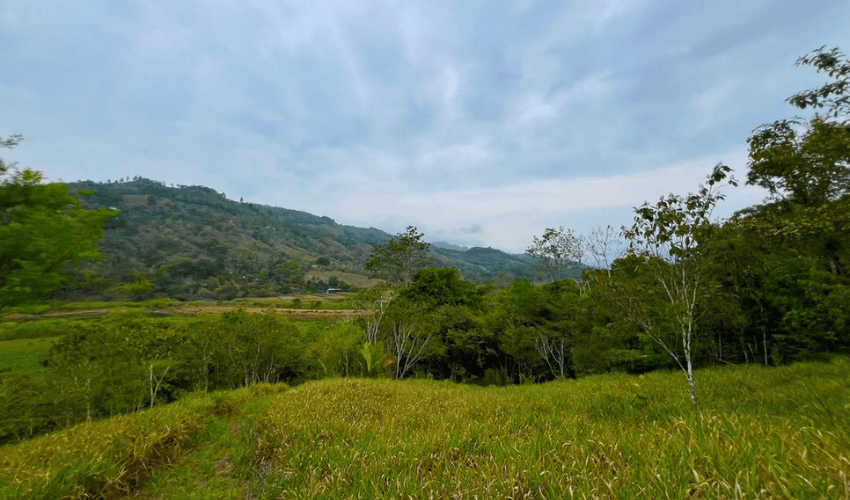 Pacuar, Perez Zeledon, 11909, ,Land,For Sale,Pacuar,1141